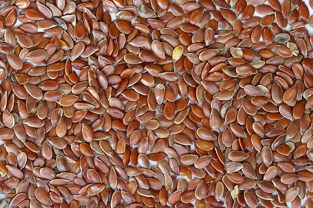 File:Brown Flax Seeds.jpg
