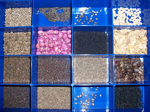 File:Seed variety.jpg