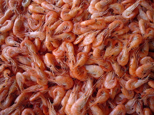 File:Odesa bazaar (6) shrimps.JPG