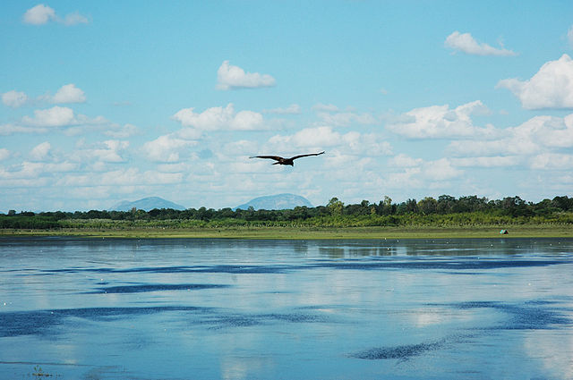 File:BangaloreLake.jpg