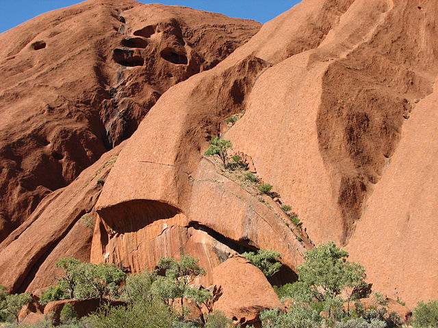 File:TreesUpUluru.JPG