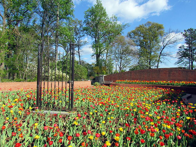 File:Atlanta Botanical Garden 1.jpg