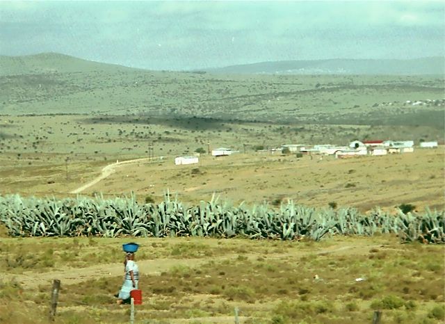 File:Ciskei2.jpg