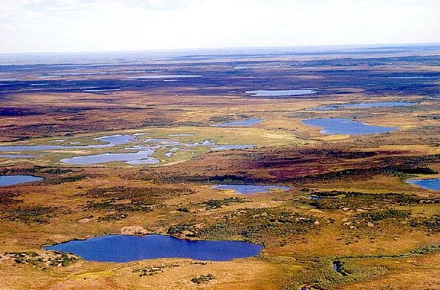 File:Ru200008050084.jpg