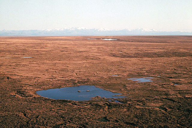 File:Tundra looking south toward Brooks Range, Alaska.jpg