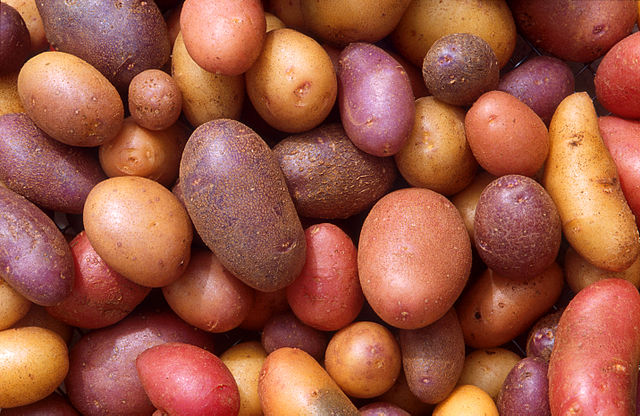 File:Patates.jpg