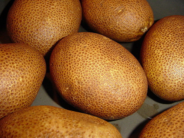 File:Russet potato .jpg