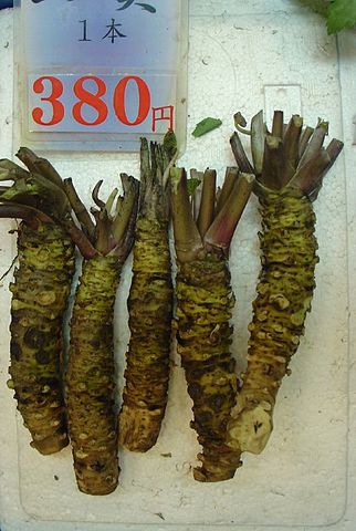File:Wasabi by EverJean in Nishiki-ichiba, Kyoto.jpg
