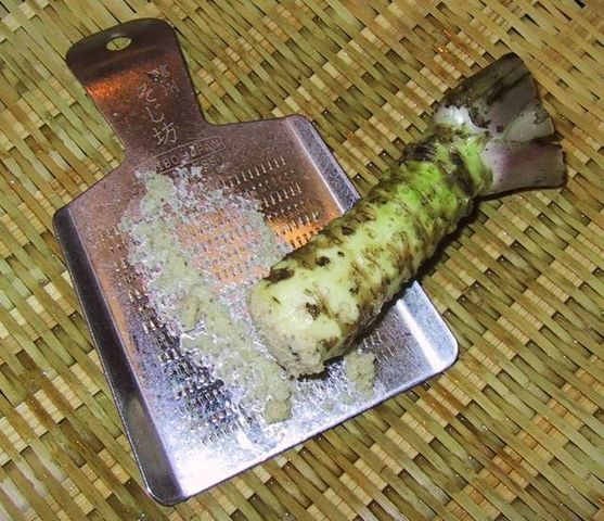 File:WasabiOnOroshigane.jpg