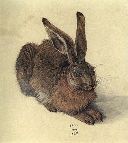 File:Duerer a young hare.jpg