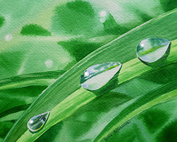 File:Watercolor Leaves With The Dew Drops Wet on Wet and Wet on Dry Technique.jpg