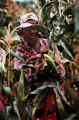 File:Women in Mozambique with maize.jpg
