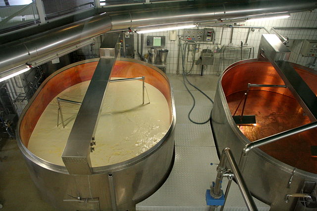 File:Production of cheese 1.jpg