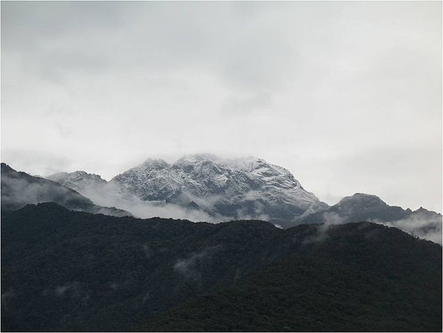 File:Picoleon.jpg