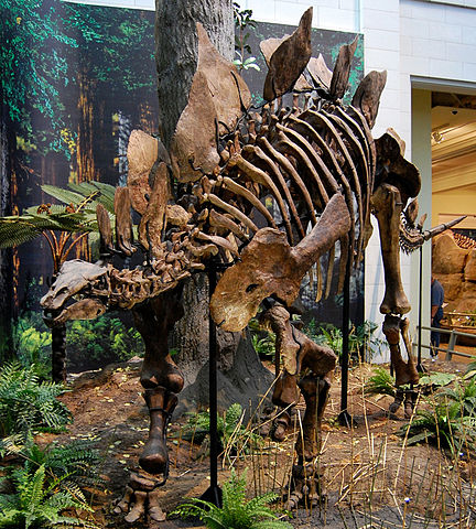 File:Ungulatus.jpg