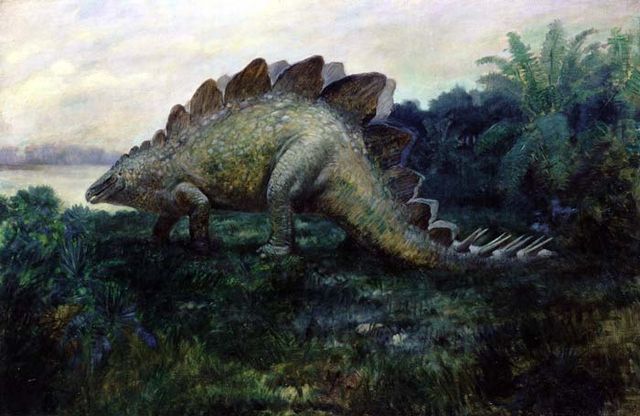 File:Stego.jpg