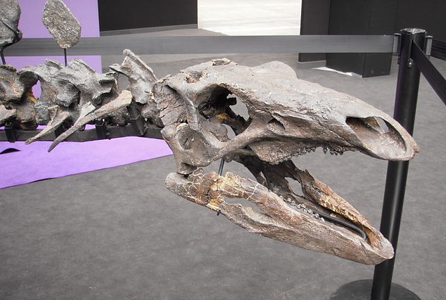 File:Tetestegosaurus.jpg