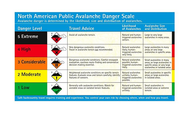 File:Danger Scale - English.jpg