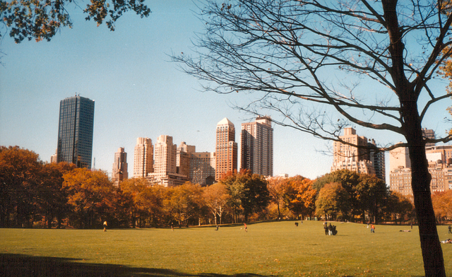 File:Centralpark.png
