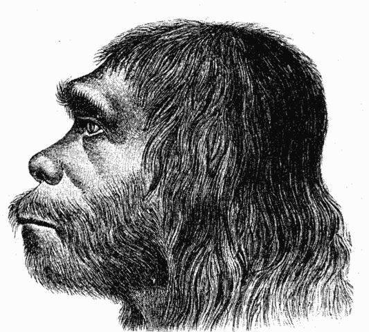 File:Neanderthaler Fund.png