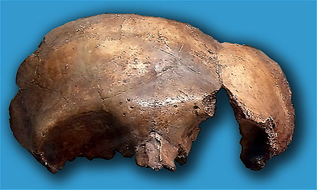 File:La Carig&uuml;ela-Neanderthal.jpg