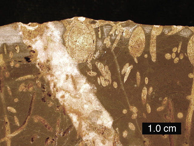 File:JurRockgd01.jpg