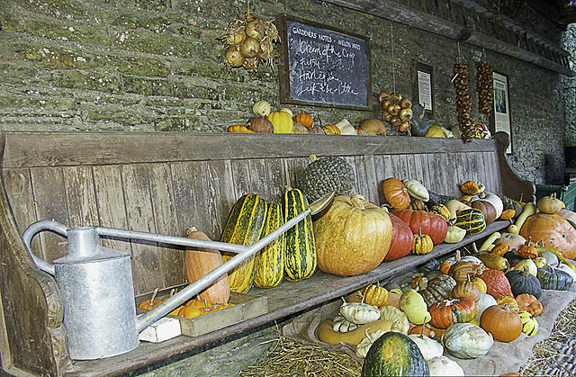 File:MelonYard.jpg