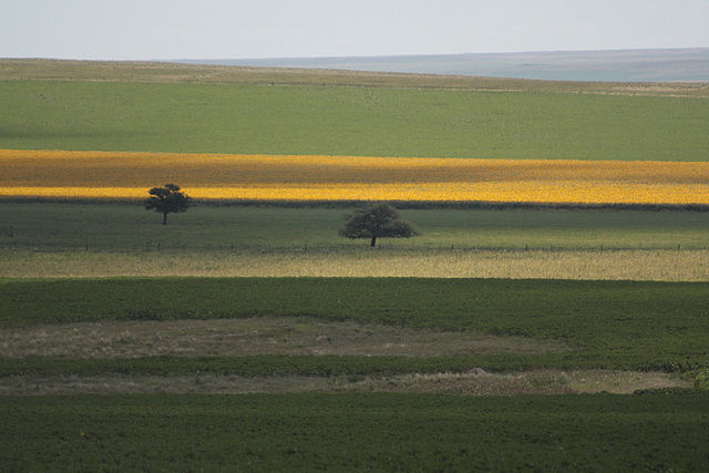 File:Camino a las Sierras de C&oacute;rdoba 2009-11.jpg