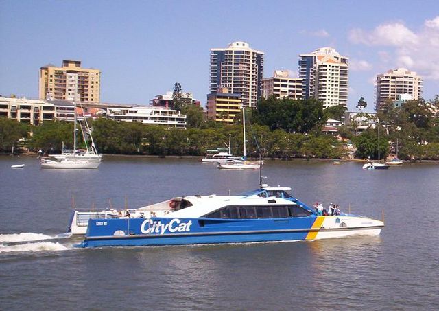 File:CityCat.jpg