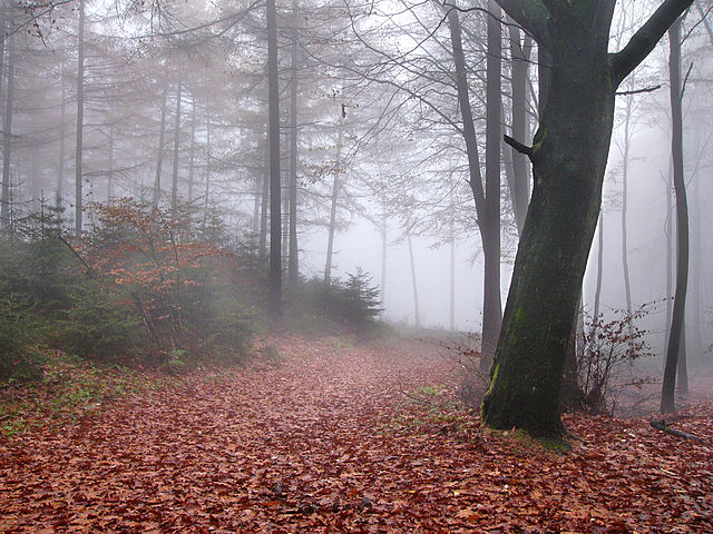 File:Hermannsweg02.jpg