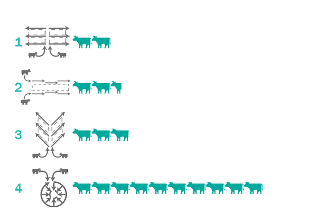 File:Kleinpeter Graphic.png