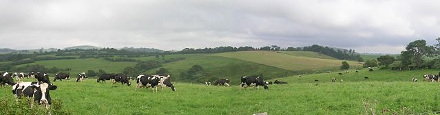 File:Dairy.JPG
