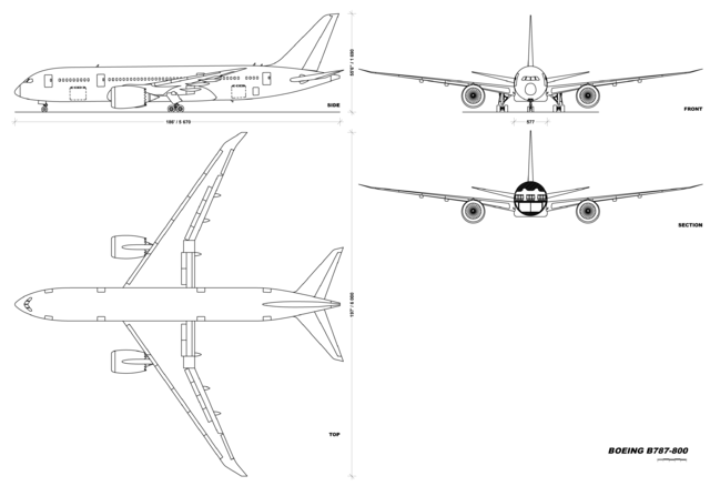 File:B787-800v1.0.png