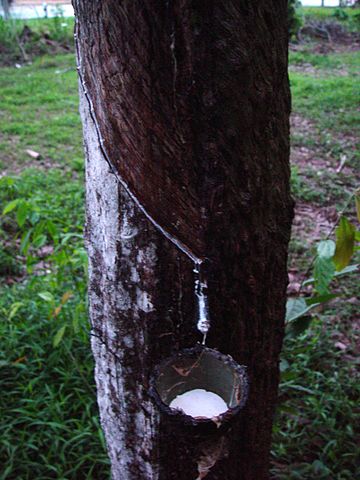 File:Latex dripping.JPG
