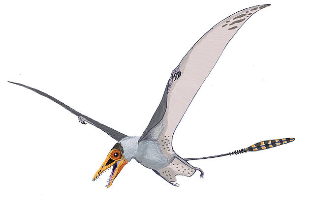 File:SordesDB.jpg