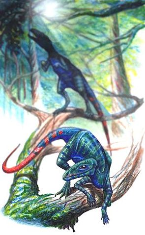 File:Scleromochlus.jpg
