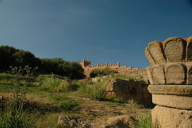File:Chellah interior hill.jpg