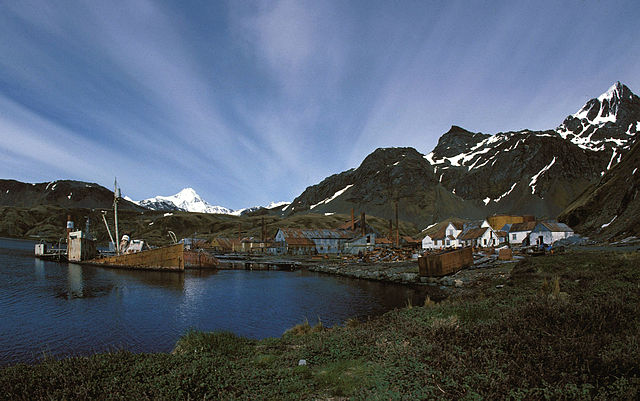 File:1989 Grytvikken hg.jpg