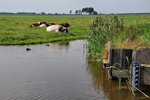File:Netherlands, Zoetermeer, Zoetermeerse Meerpolder (1).JPG