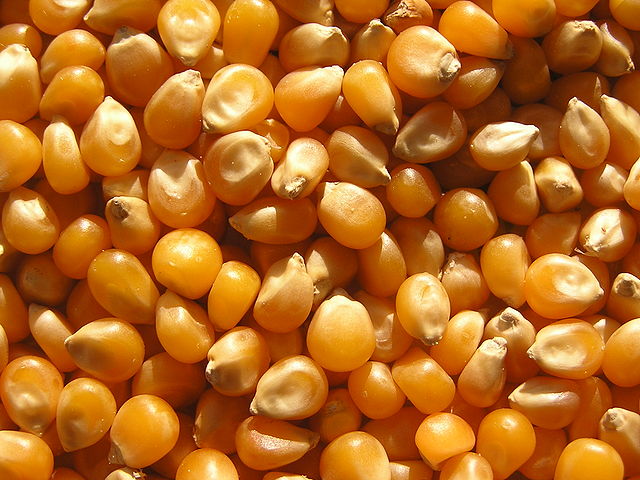 File:Ab food 06.jpg