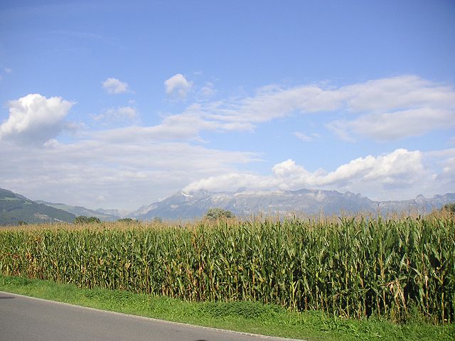 File:Field, corn, Liechtenstein, Mountains, Alps, Vaduz, sky, clouds, landscape.jpg