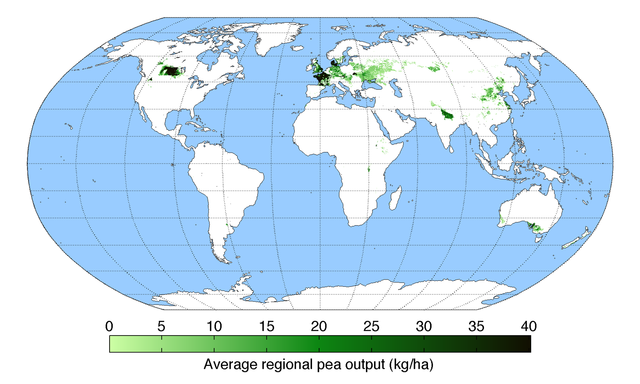 File:PeaYield.png