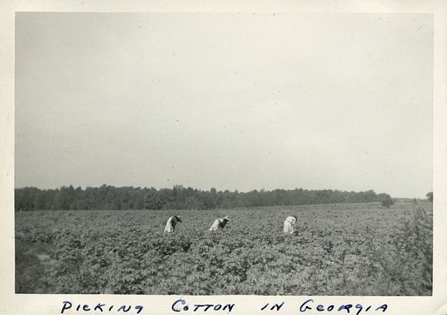 File:Cotton1943 cropped.jpg