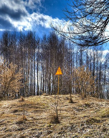 File:Red Forest Hill.jpg