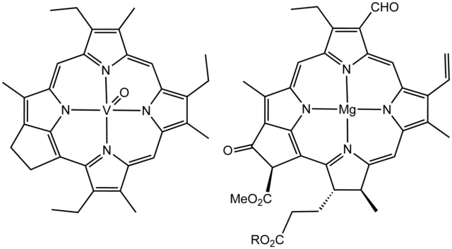 File:Treibs&Chlorophyll.png