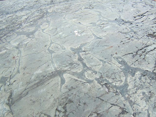 File:Temagami greenstone belt pillow lava.jpg