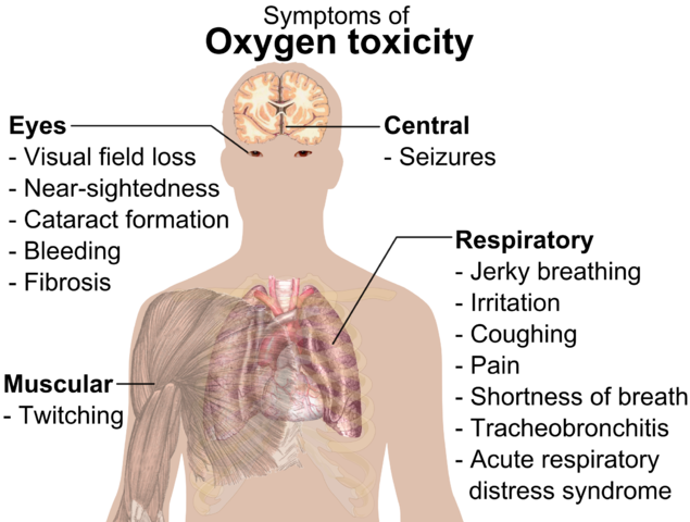 File:Symptoms of oxygen toxicity.png