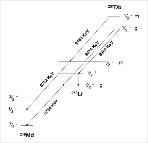 File:257Db decay scheme.png