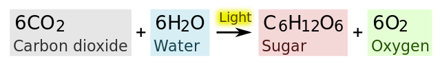 File:Photosynthesis equation.svg