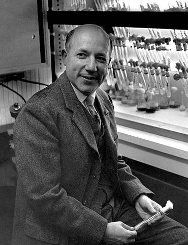 File:Melvin Calvin.jpg
